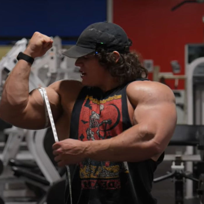 Sam Sulek arm workout