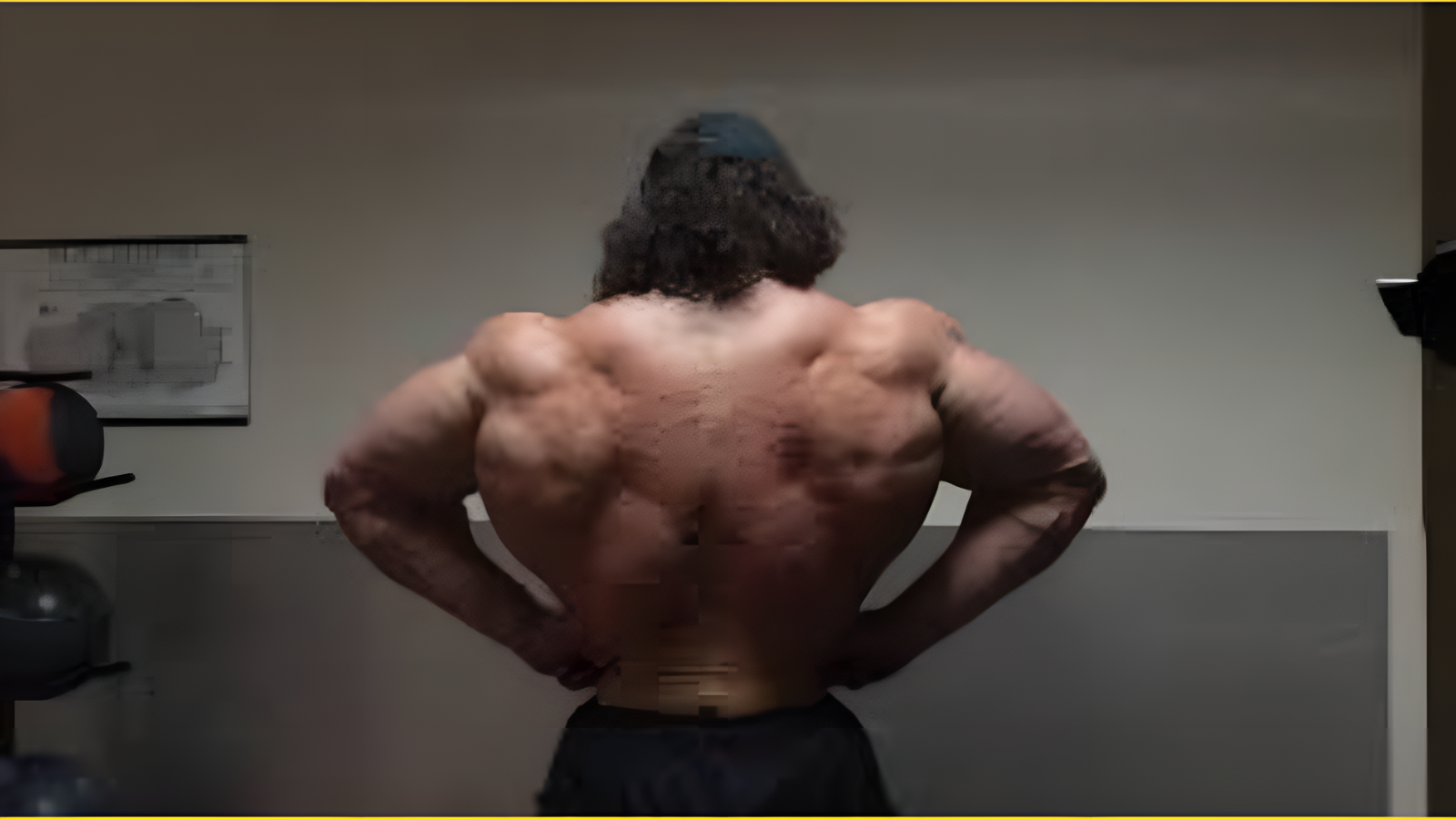 Sam Sulek Back Workout