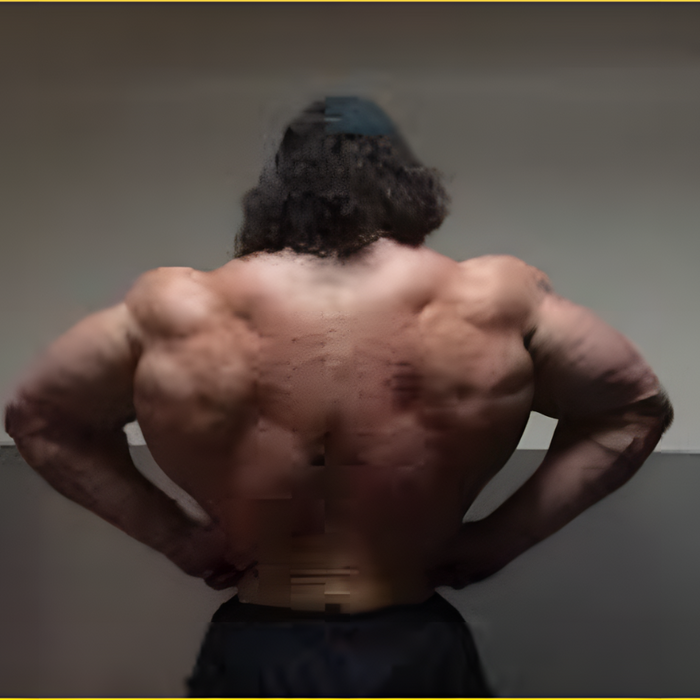 Sam Sulek Back Workout