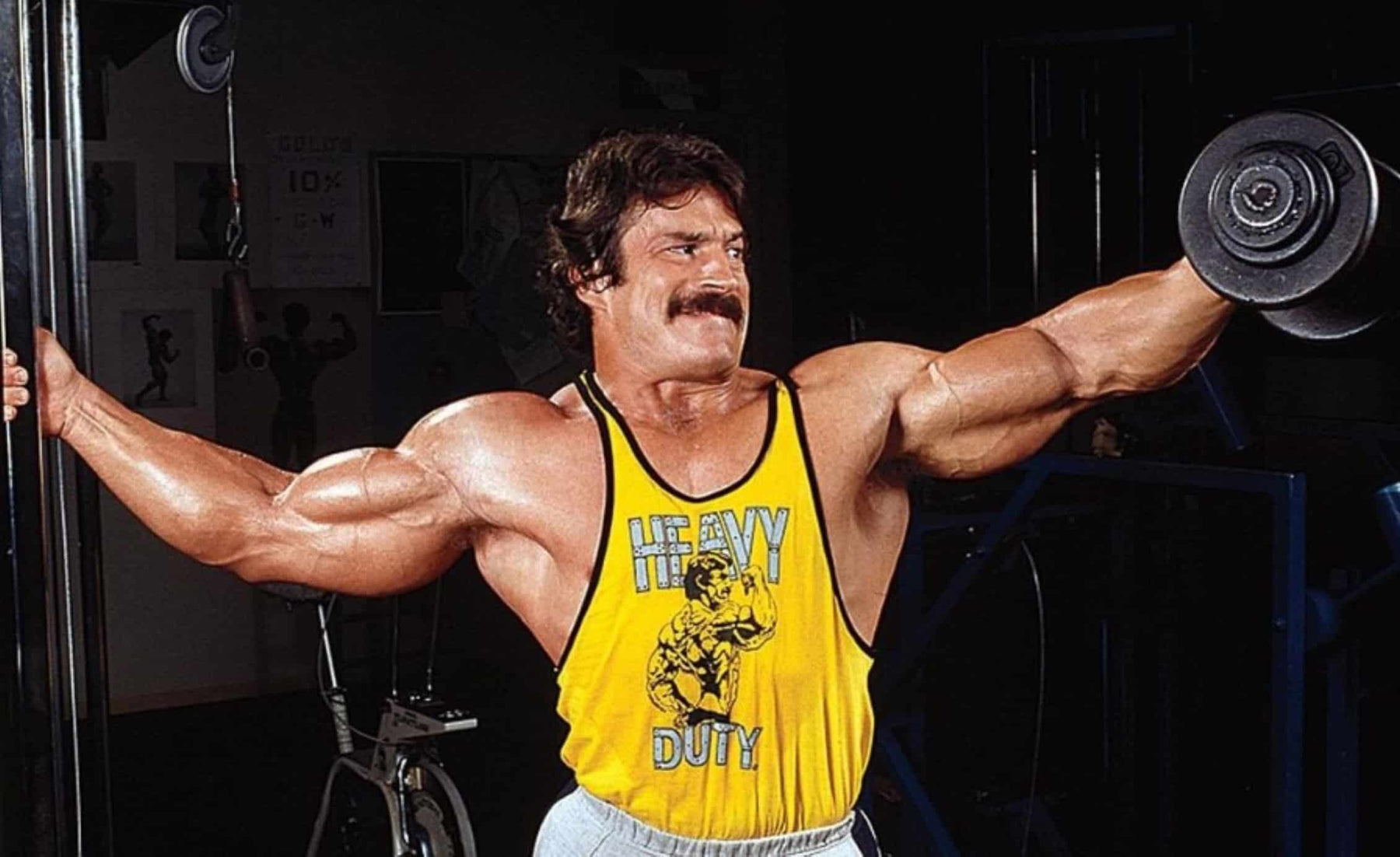 mike mentzer workout routine